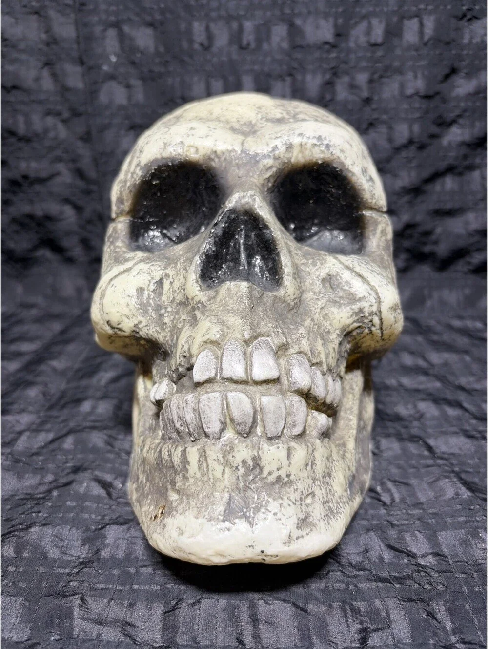 9” Creepy Skull Death Corpse Halloween Decor Prop Skeleton
